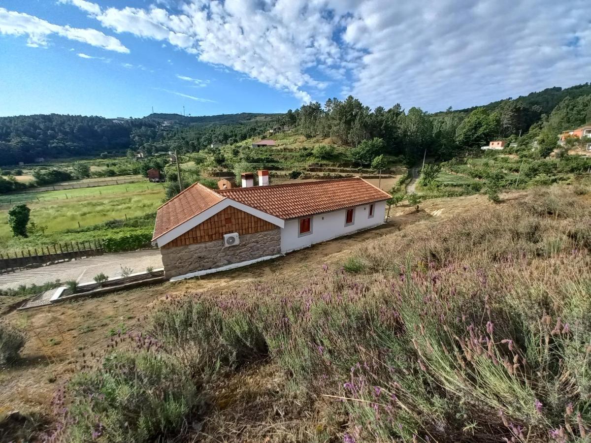 Quinta Da Peca Douro Vinhateiro Vila Real Ngoại thất bức ảnh