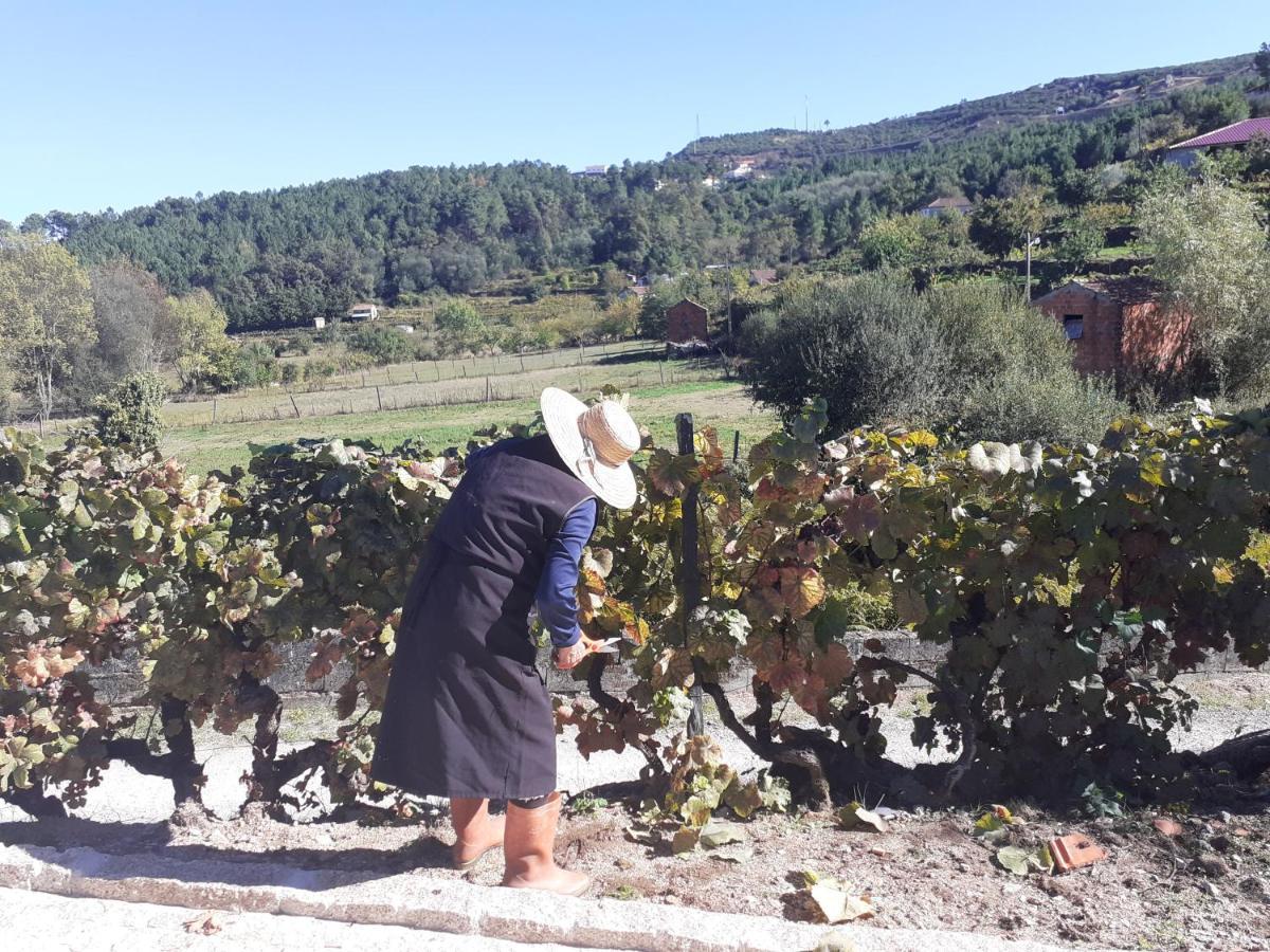 Quinta Da Peca Douro Vinhateiro Vila Real Ngoại thất bức ảnh