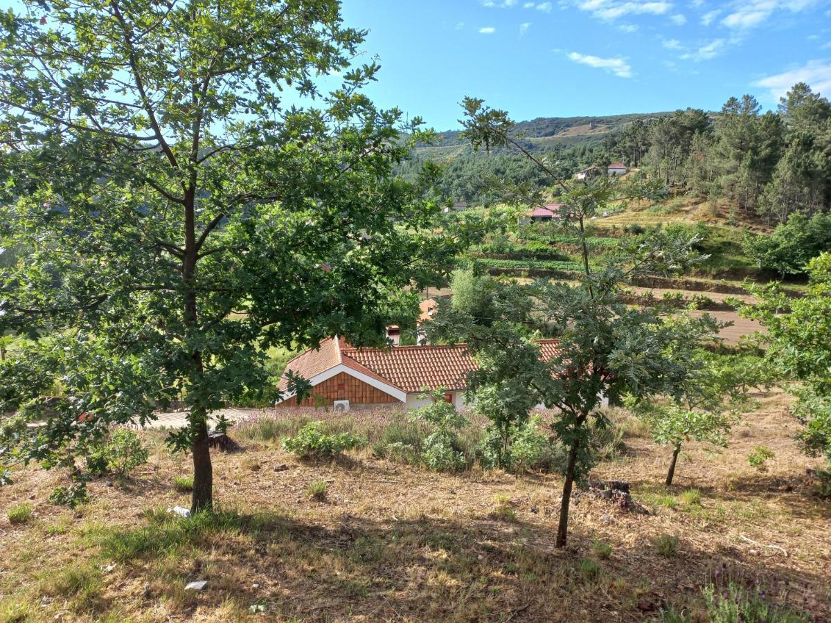 Quinta Da Peca Douro Vinhateiro Vila Real Ngoại thất bức ảnh
