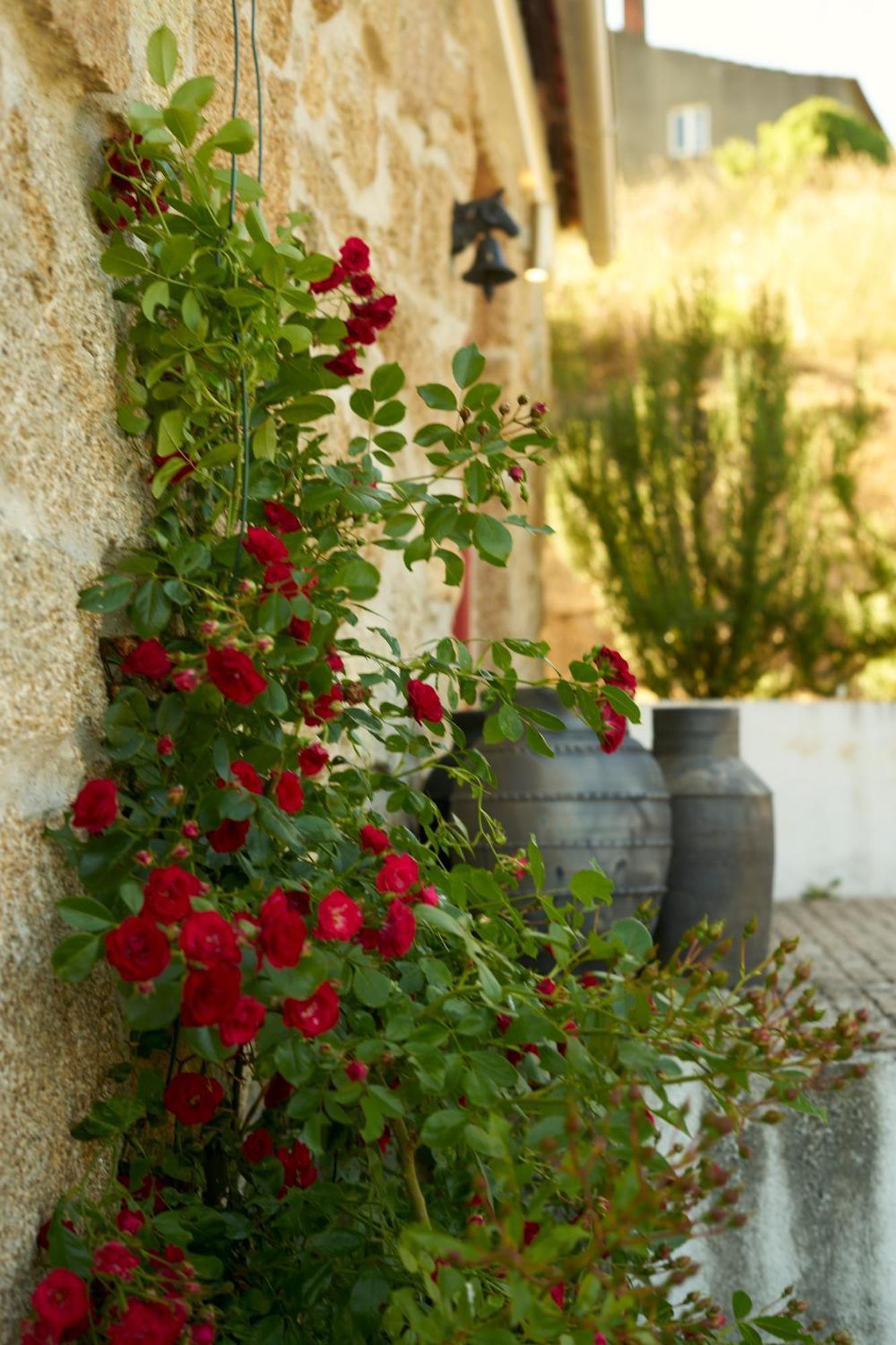 Quinta Da Peca Douro Vinhateiro Vila Real Ngoại thất bức ảnh